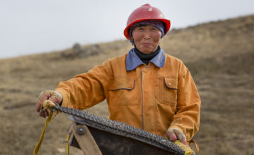 ASM Formalisation: Mongolia’s five ingredients for success