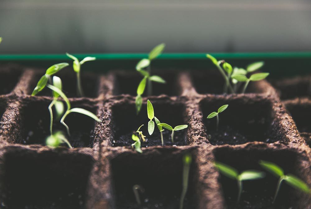 'Sustainable Sourcing' means taking a proactive approach to helping societal and environmental impacts grow sustainably. Photo: Markus Spiske/Unsplash