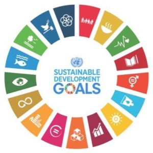 Integrating the SDGs into your business: a case study with Nineteen48