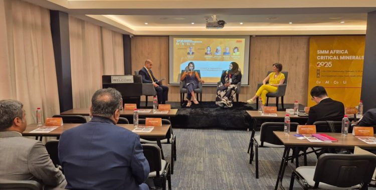 Minerals Are a Gift: Value Addition, Responsible Sourcing, and the Mixed Picture of EU Regulation