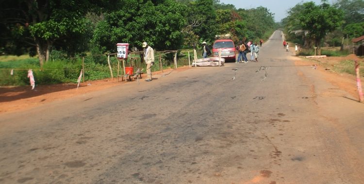 The Youth Factor in the Fight Against the Ebola Virus Disease in Kono