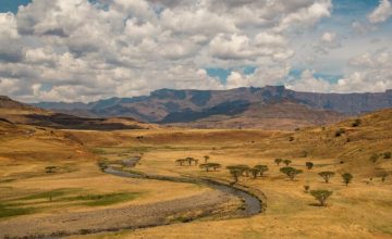 Spotlighting environmental impacts of ASM at the Convention on Biological Diversity