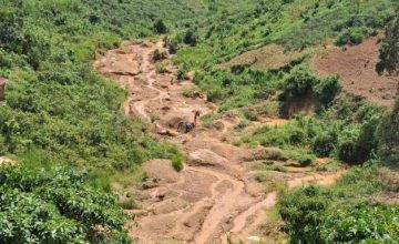 Gender equality to safeguard the environment: how women can improve the environmental performance of the minerals sector