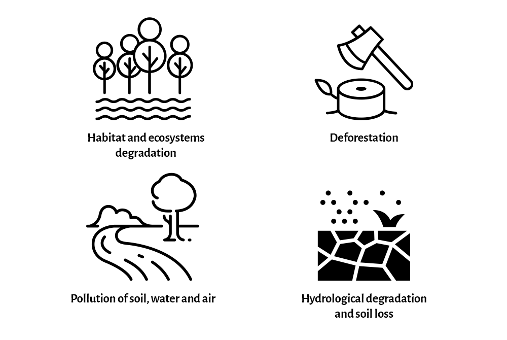 Habitat and ecosystems degradation; deforestation; pollution of soil, waterways and air; soil loss and hydrological degradation are key impacts of ASM