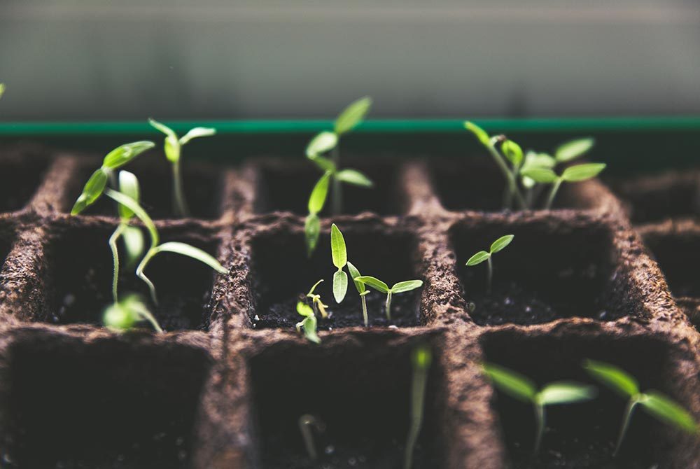 'Sustainable Sourcing' means taking a proactive approach to helping societal and environmental impacts grow sustainably. Photo: Markus Spiske/Unsplash 'Sustainable Sourcing' means taking a proactive approach to helping societal and environmental impacts grow sustainably. Photo: Markus Spiske/Unsplash