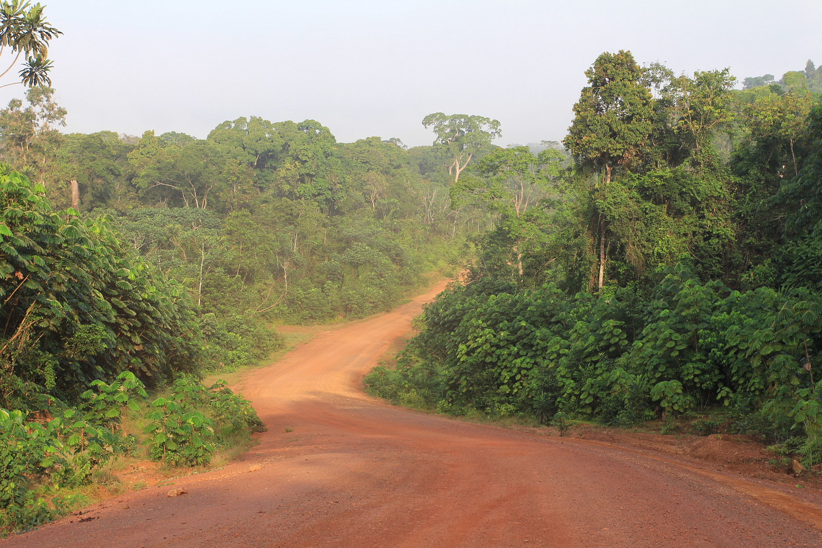 Liberia, Photo by Flore de Preneuf, PROFOR