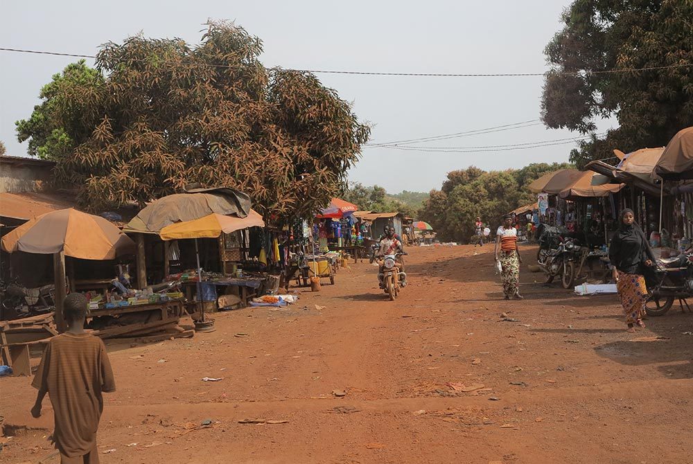 Guinea, 2015. Photo: Adam Rolfe/Levin Sources Guinea, 2015. Photo: Adam Rolfe/Levin Sources