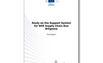 Report: Study on the Support System for SME Supply Chain Due Diligence