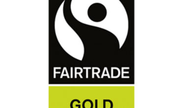 Fairtrade Gold Standard Revision and Facilitated Workshop