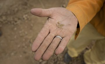 Artisanal and Small-scale Mining: a primer for institutional investors