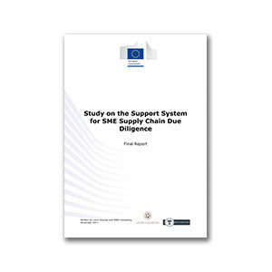Report: Study on the Support System for SME Supply Chain Due Diligence
