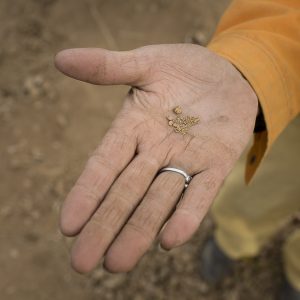 Artisanal and Small-scale Mining: a primer for institutional investors